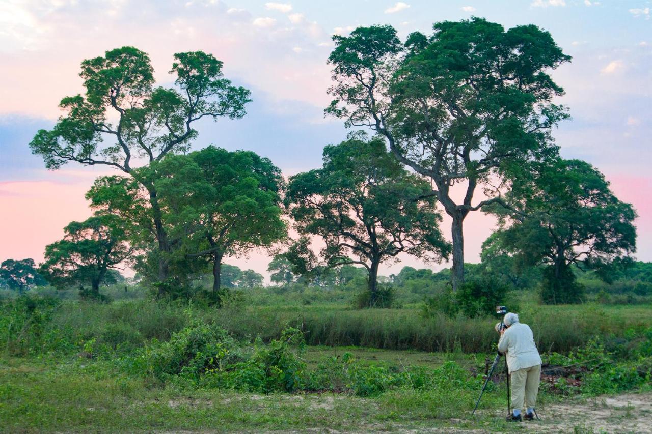 Southwild Pantanal Lodge Pixaim Eksteriør billede