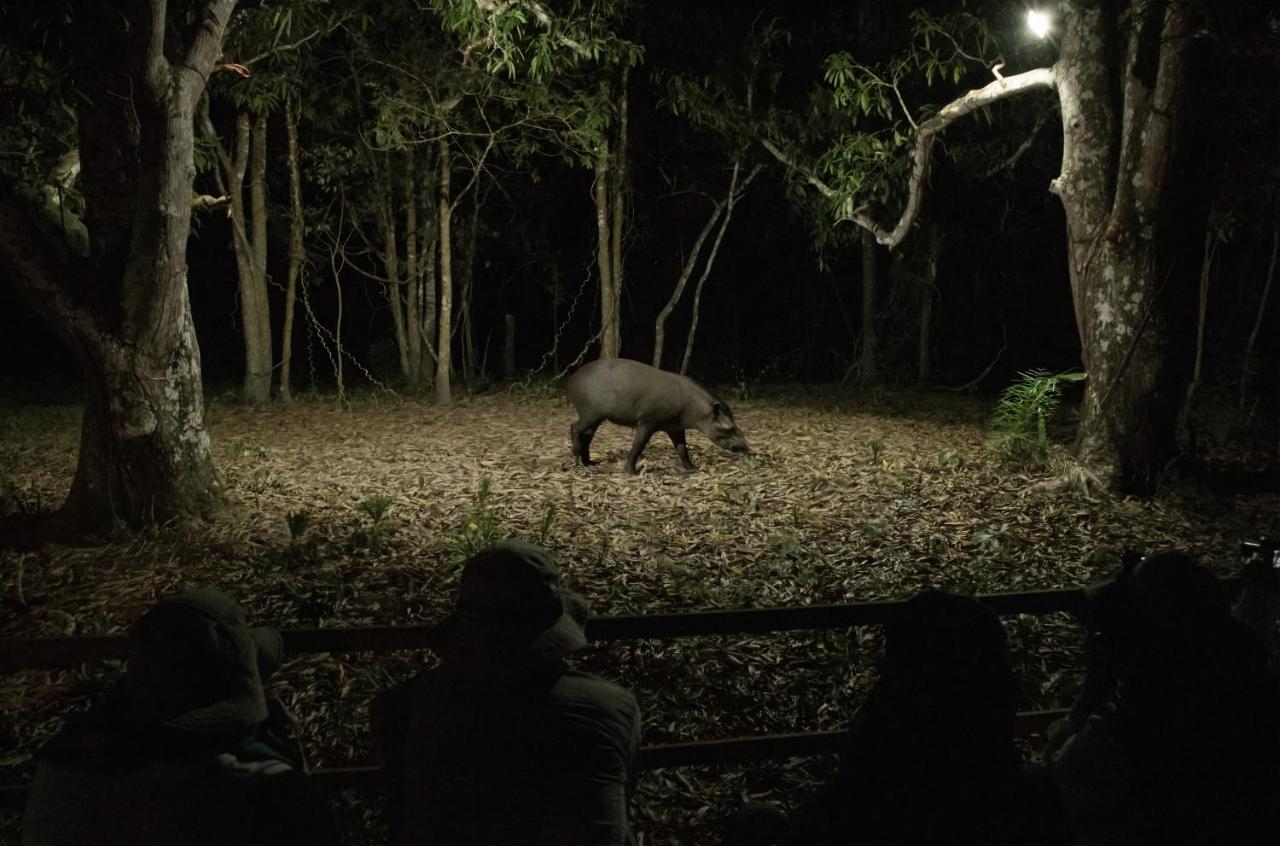 Southwild Pantanal Lodge Pixaim Eksteriør billede