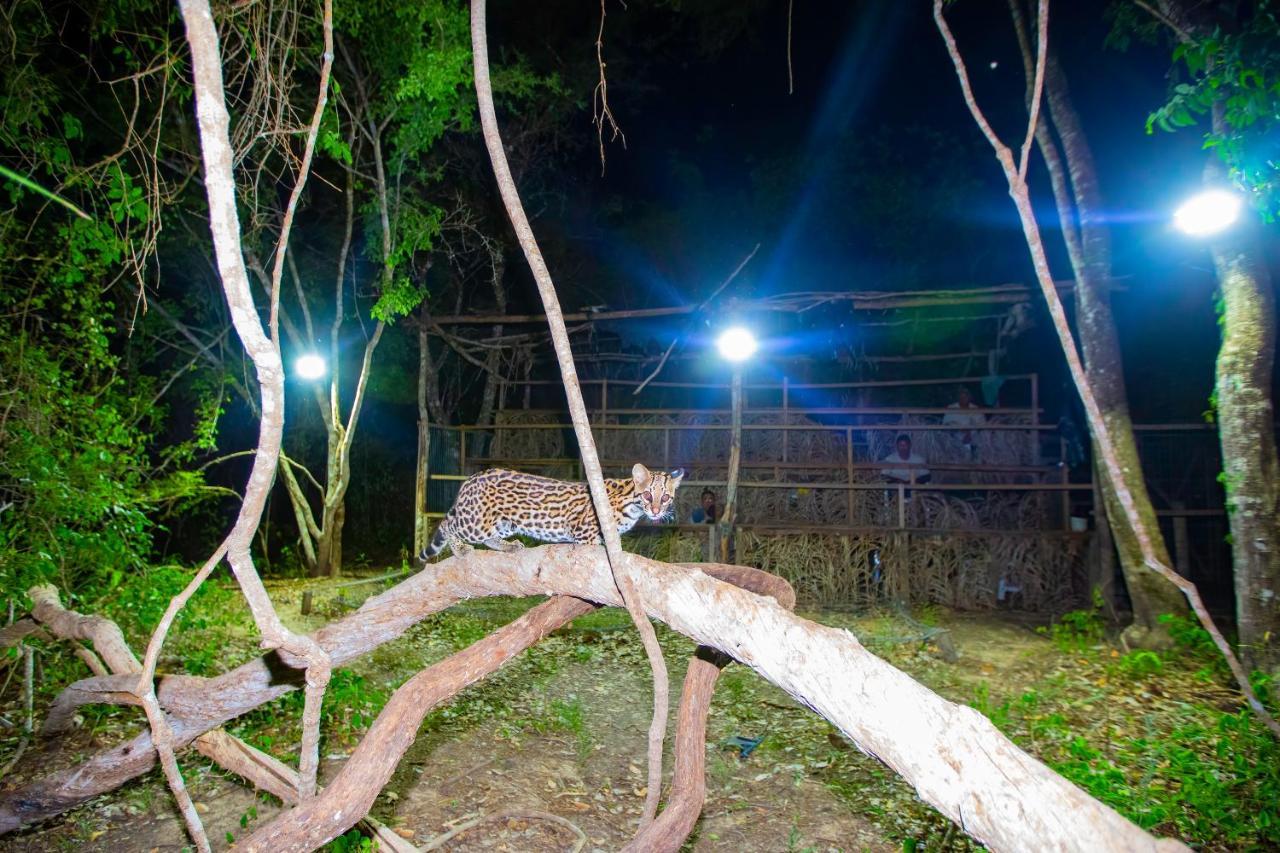 Southwild Pantanal Lodge Pixaim Eksteriør billede