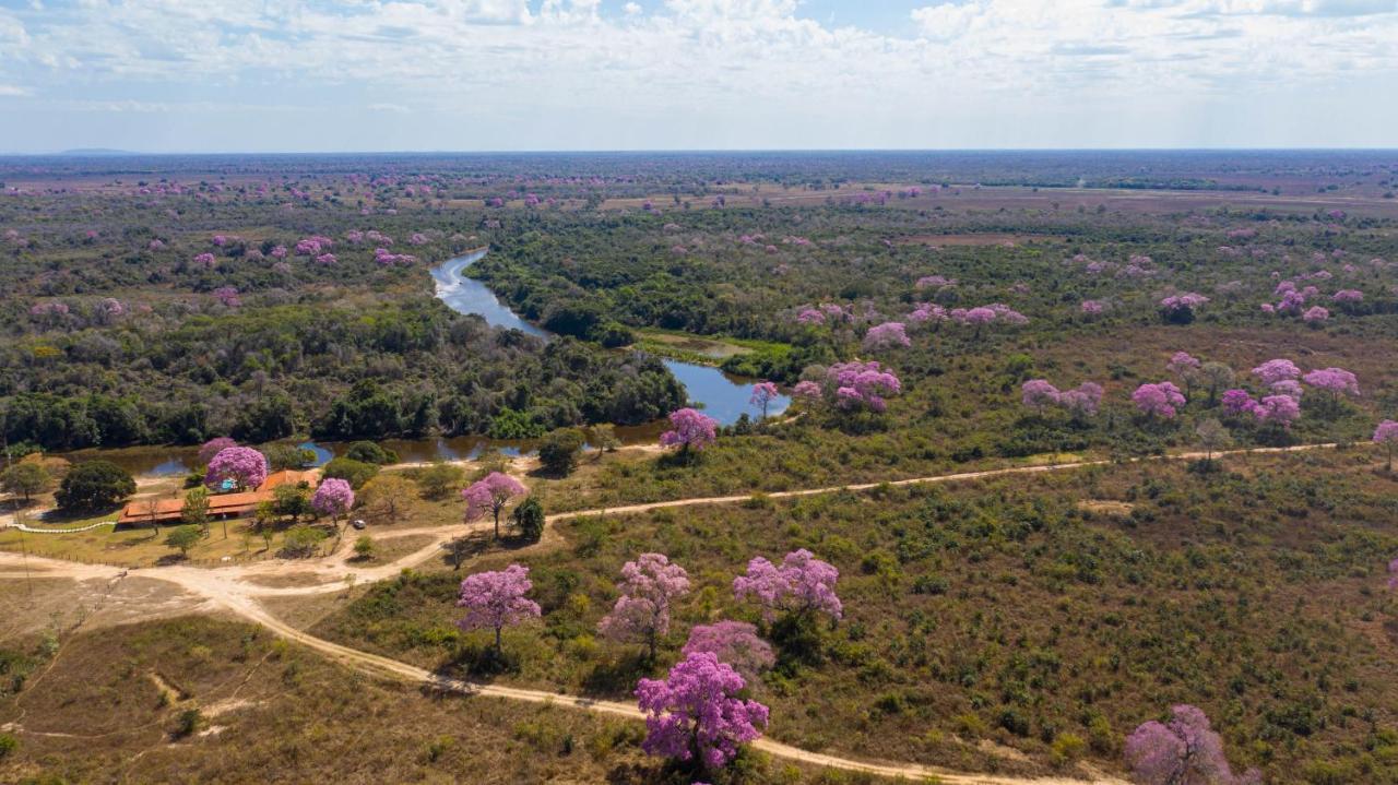 Southwild Pantanal Lodge Pixaim Eksteriør billede