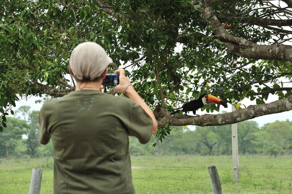 Southwild Pantanal Lodge Pixaim Eksteriør billede