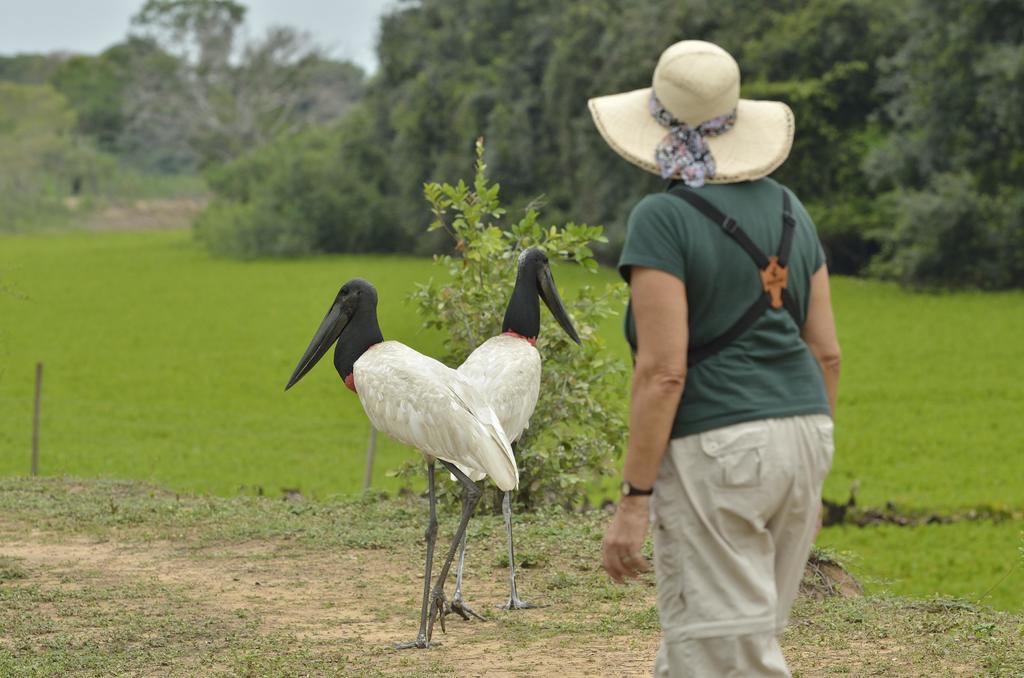 Southwild Pantanal Lodge Pixaim Eksteriør billede