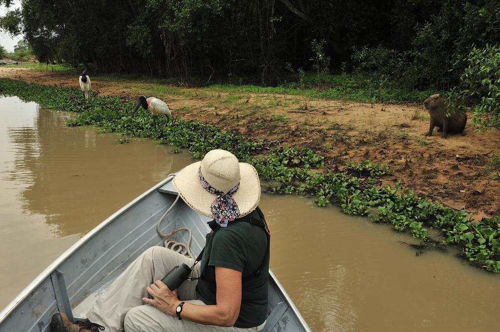 Southwild Pantanal Lodge Pixaim Eksteriør billede