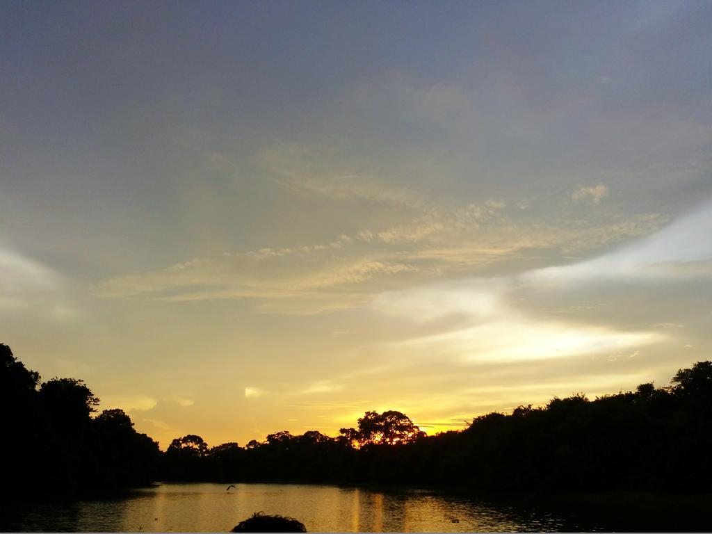 Southwild Pantanal Lodge Pixaim Eksteriør billede