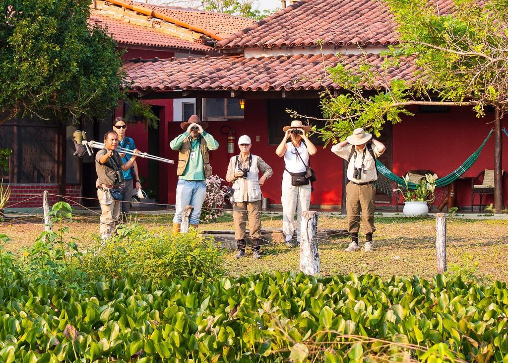 Southwild Pantanal Lodge Pixaim Eksteriør billede