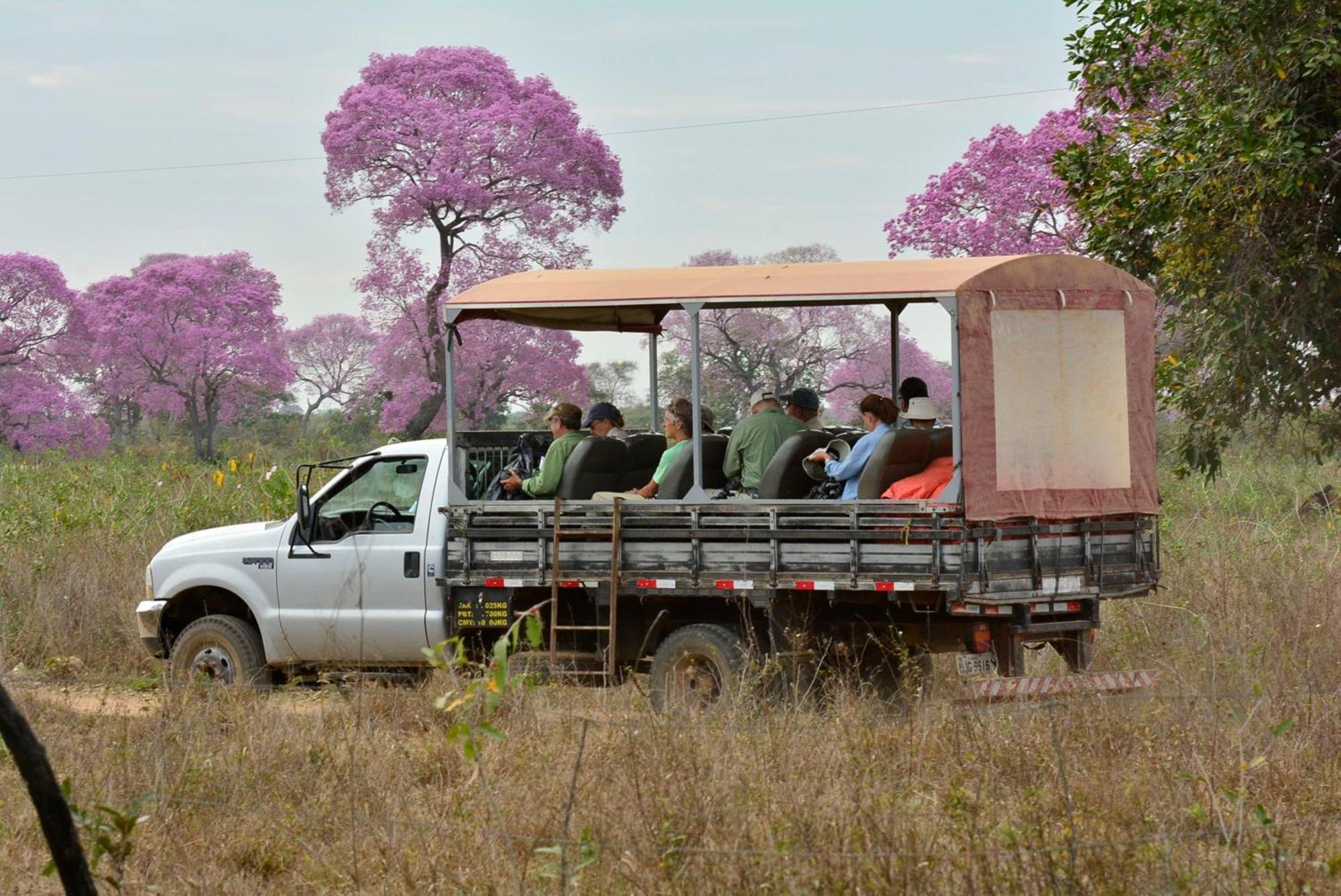 Southwild Pantanal Lodge Pixaim Eksteriør billede