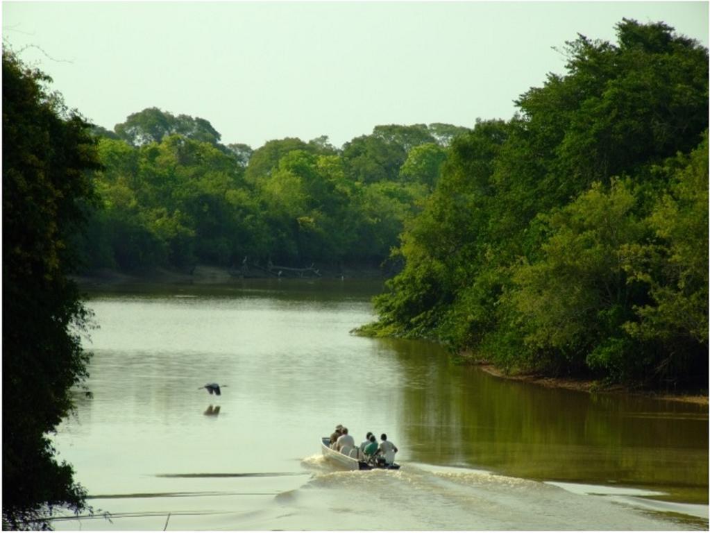 Southwild Pantanal Lodge Pixaim Eksteriør billede